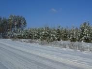 Пролетарське з panoramio.com