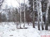 Гута з panoramio.com