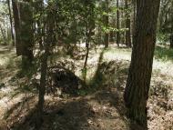 Пролетарське з panoramio.com