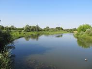 Грушівка - Останні фото