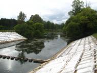 Івотка - Останні фото