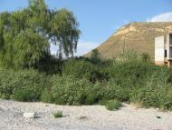 Морське з panoramio.com