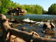 Вари з panoramio.com