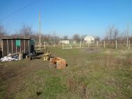 Отрадово - Последние фото