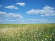 Запашка з panoramio.com