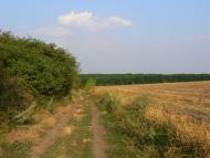 Крутеньке з panoramio.com