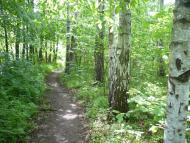 Комарівка з panoramio.com