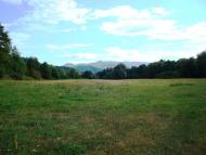 Довге з panoramio.com