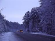 Лісопіль з panoramio.com