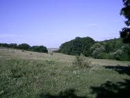 Нововознесенка з panoramio.com