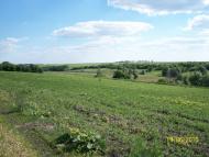 Запашка з panoramio.com