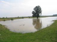 Ботар - Последние фото