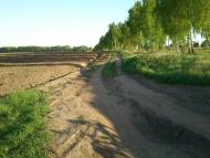 Нові Вирки з panoramio.com