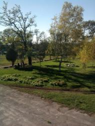 Добронадіївка з panoramio.com