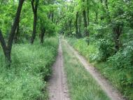 Варварівка з panoramio.com