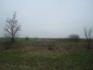 Грибенинка - Останні фото