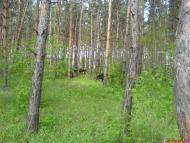 Борівське з panoramio.com