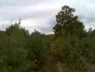 Гукове з panoramio.com