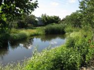 Дмитрівка з panoramio.com