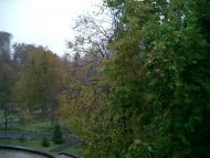 Синяк з panoramio.com