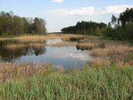 Баранне з panoramio.com