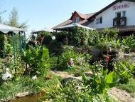 Музиківка з panoramio.com