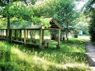 Струмок з panoramio.com