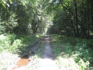 Товмачик з panoramio.com