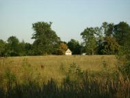 Полянка з panoramio.com