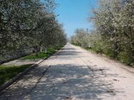 Багате з panoramio.com