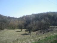 Северинівка з panoramio.com