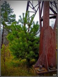 Три Копці з panoramio.com