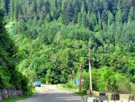 Явора - Останні фото