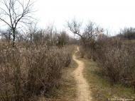 Інгулець з panoramio.com