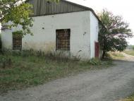 Весняна Квітка з panoramio.com