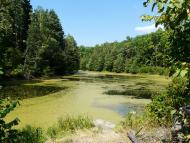 Березина з panoramio.com