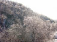 Максимівка з panoramio.com