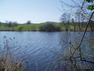 Ставки з panoramio.com