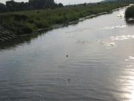 Поділ з panoramio.com