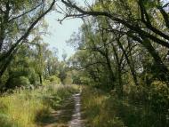 Лемешівка з panoramio.com