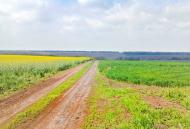 Обознівка з panoramio.com