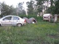 Вишнева з panoramio.com