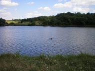 Хижня з panoramio.com