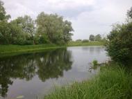 Новомутин з panoramio.com