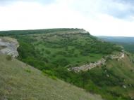 Тополі з panoramio.com