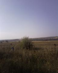 Грузько-Зорянське з panoramio.com