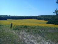 Вершаці - Останні фото