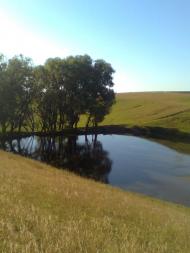 Гмирянка з panoramio.com