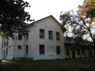 Рідкодуби з panoramio.com