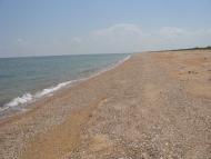 Дмитрівка - Останні фото